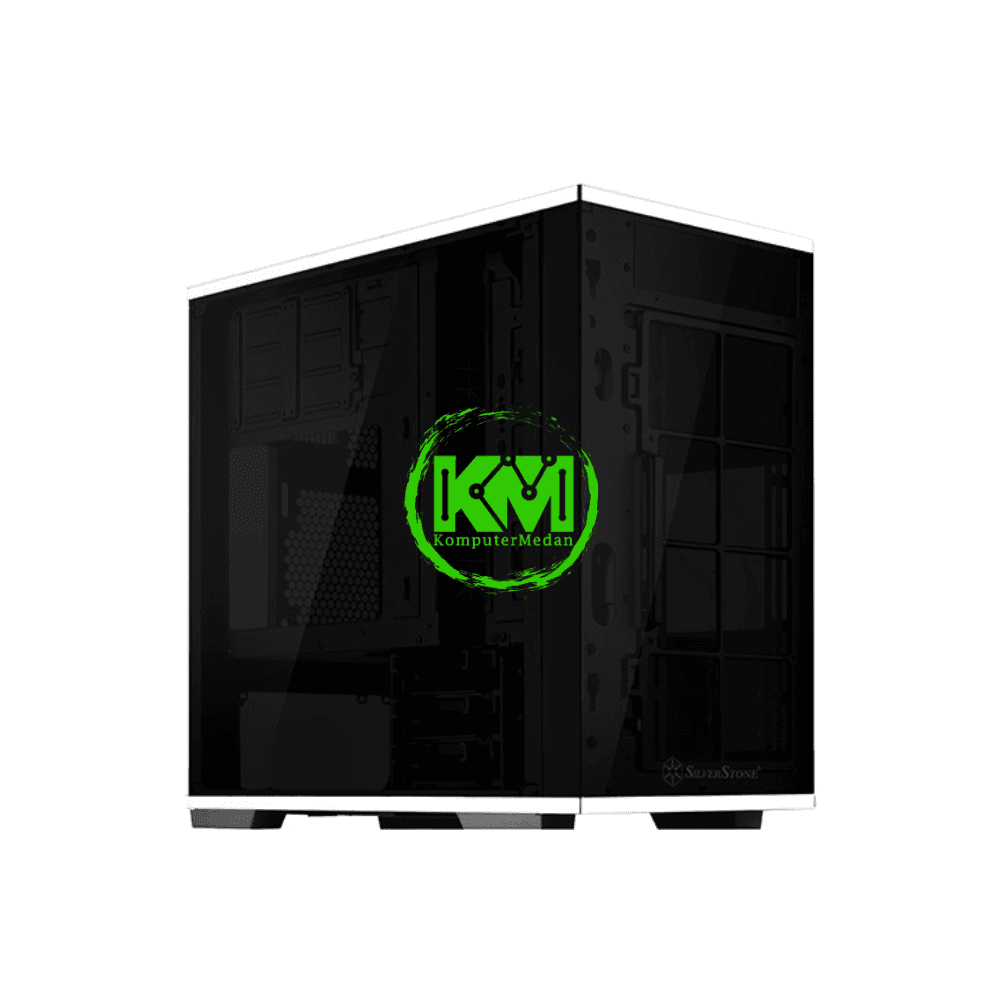 SILVERSTONE LD01 CASING - Image 3