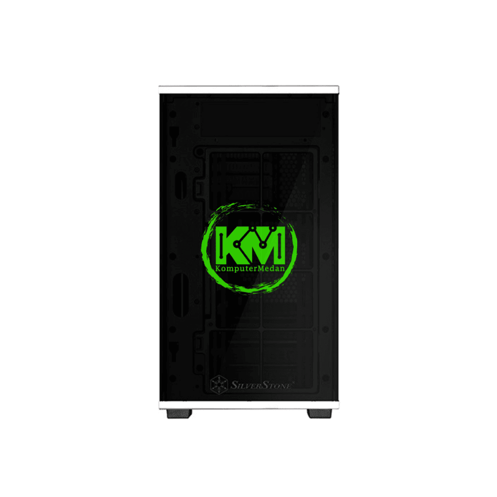 SILVERSTONE LD01 CASING - Image 2