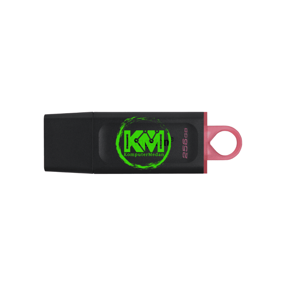 KINGSTON DT EXODIA 256GB USB 3.2 FLASHDISK - Image 2
