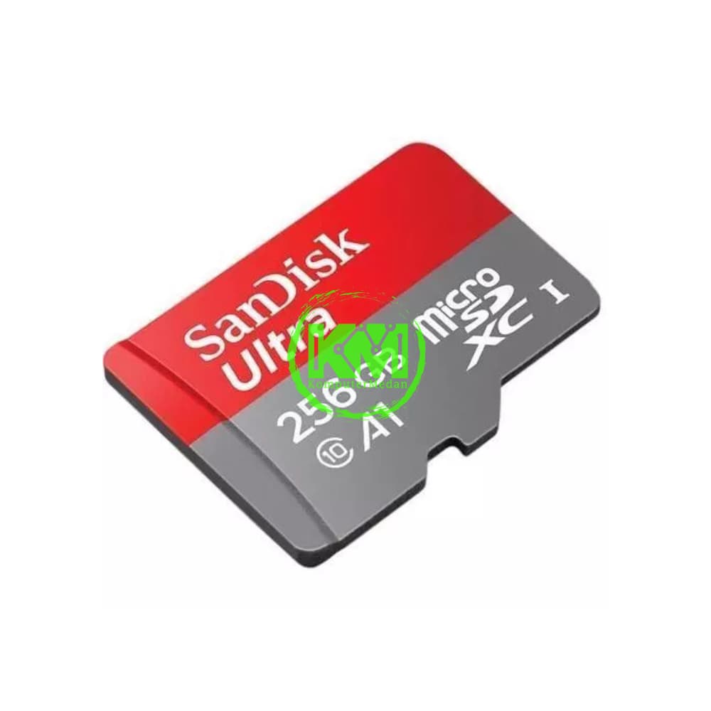 SANDISK MICROSD CLASS10 256GB MEMORY CARD - Image 3