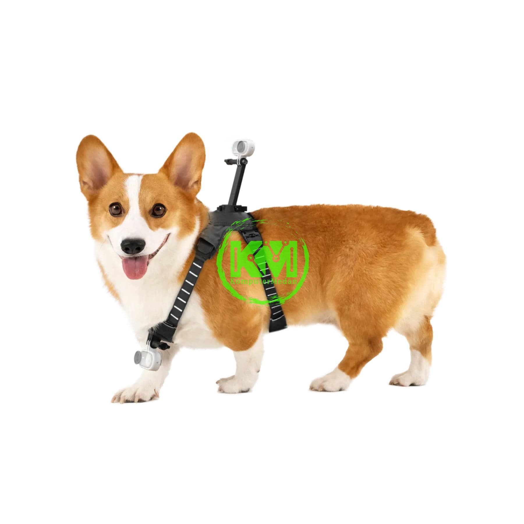 INSTA 360 PET HARNESS MOUNT SIZE M - Image 3