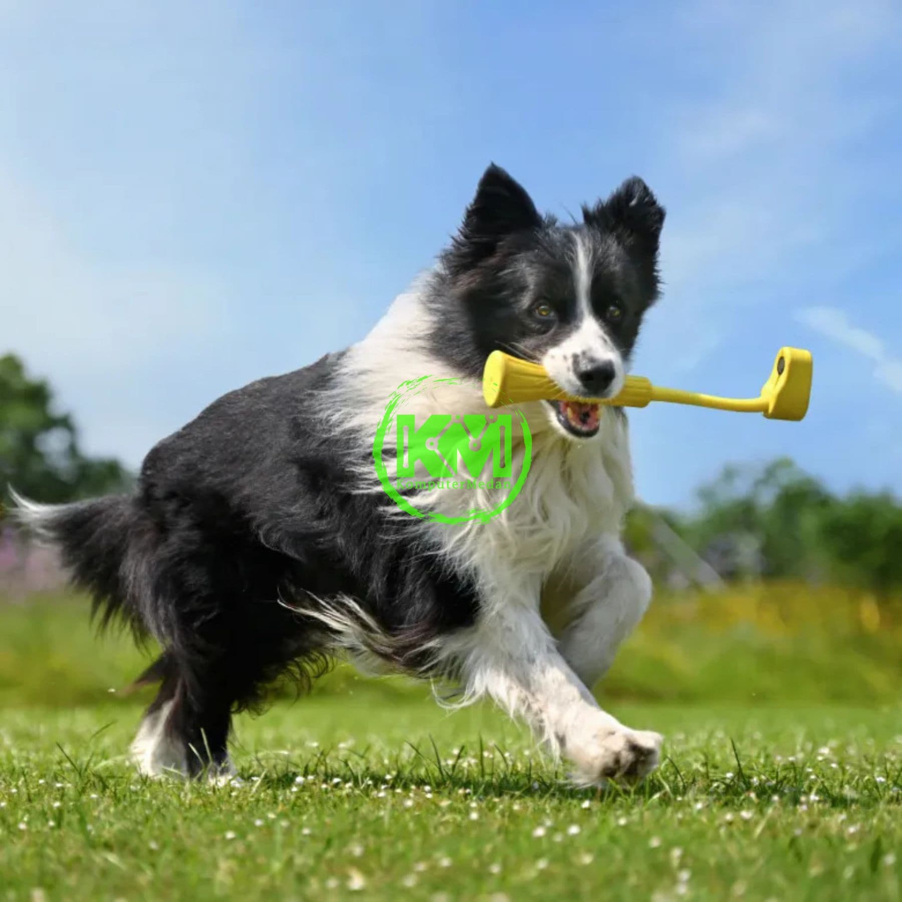 INSTA 360 GO 3 FETCH STICK - Image 5