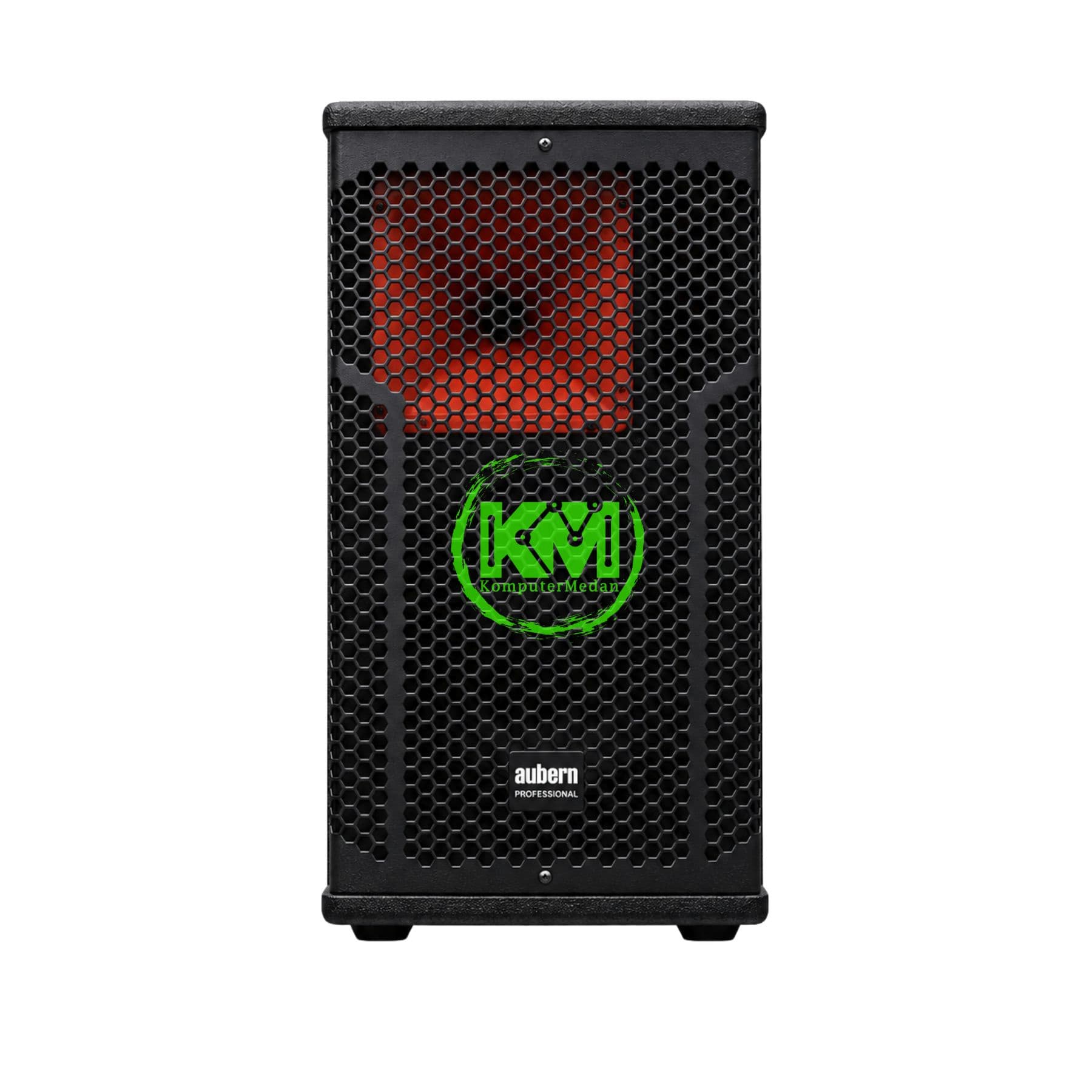 AUBERN PROFESIONAL AUDIO 2-WAY SPEAKER ALM-10 - Image 2