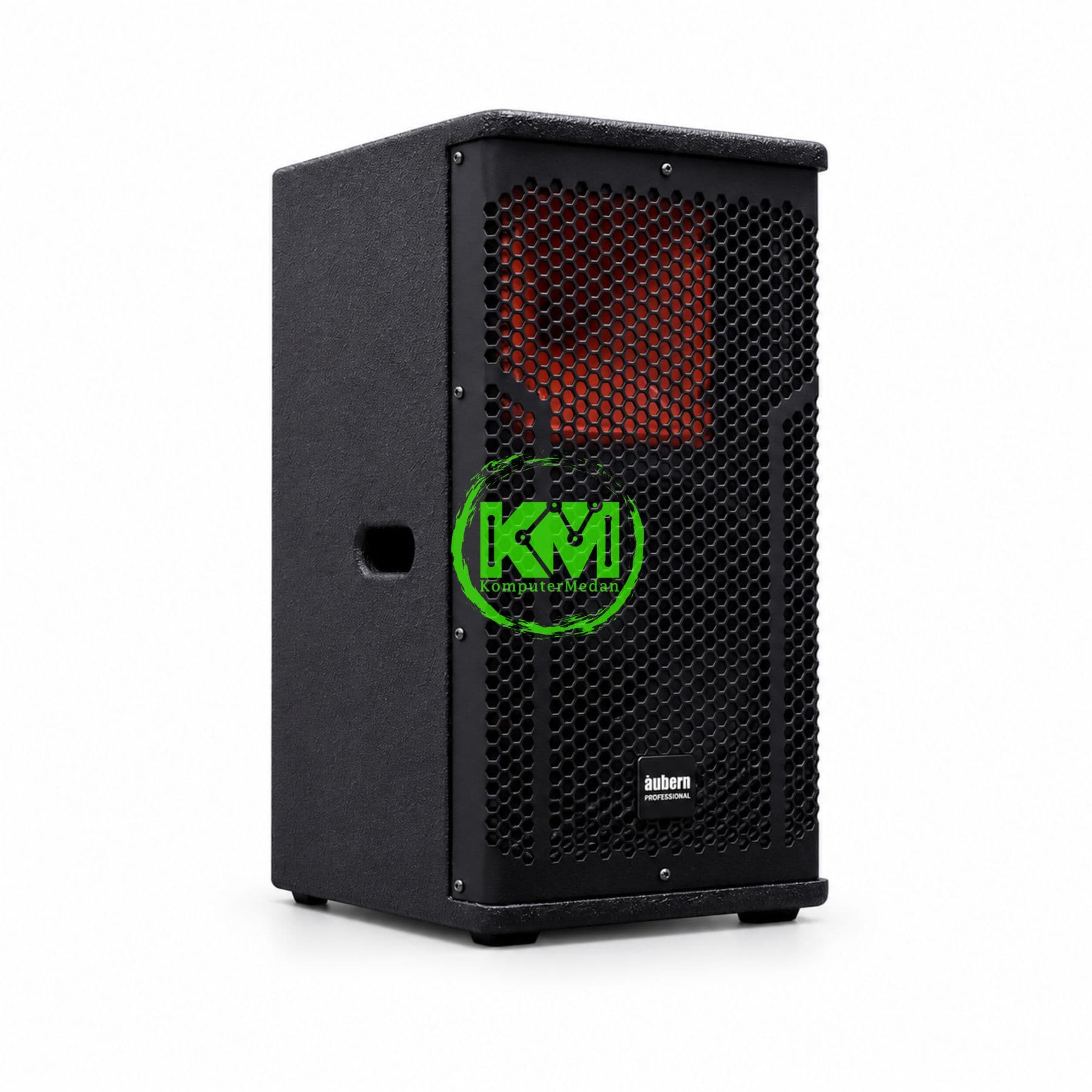 AUBERN PROFESIONAL AUDIO 2-WAY SPEAKER ALM-10 - Image 3